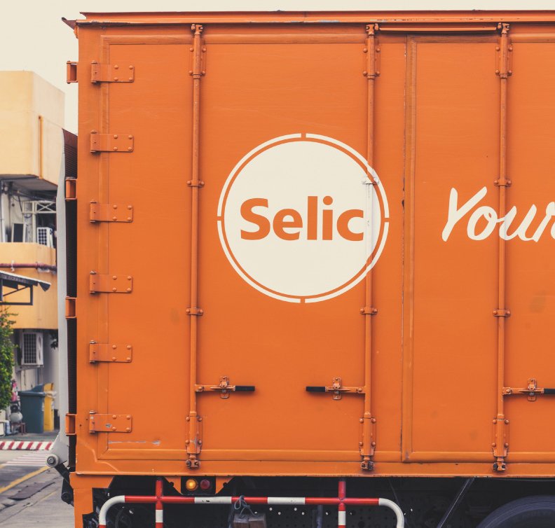 Selic Company Background